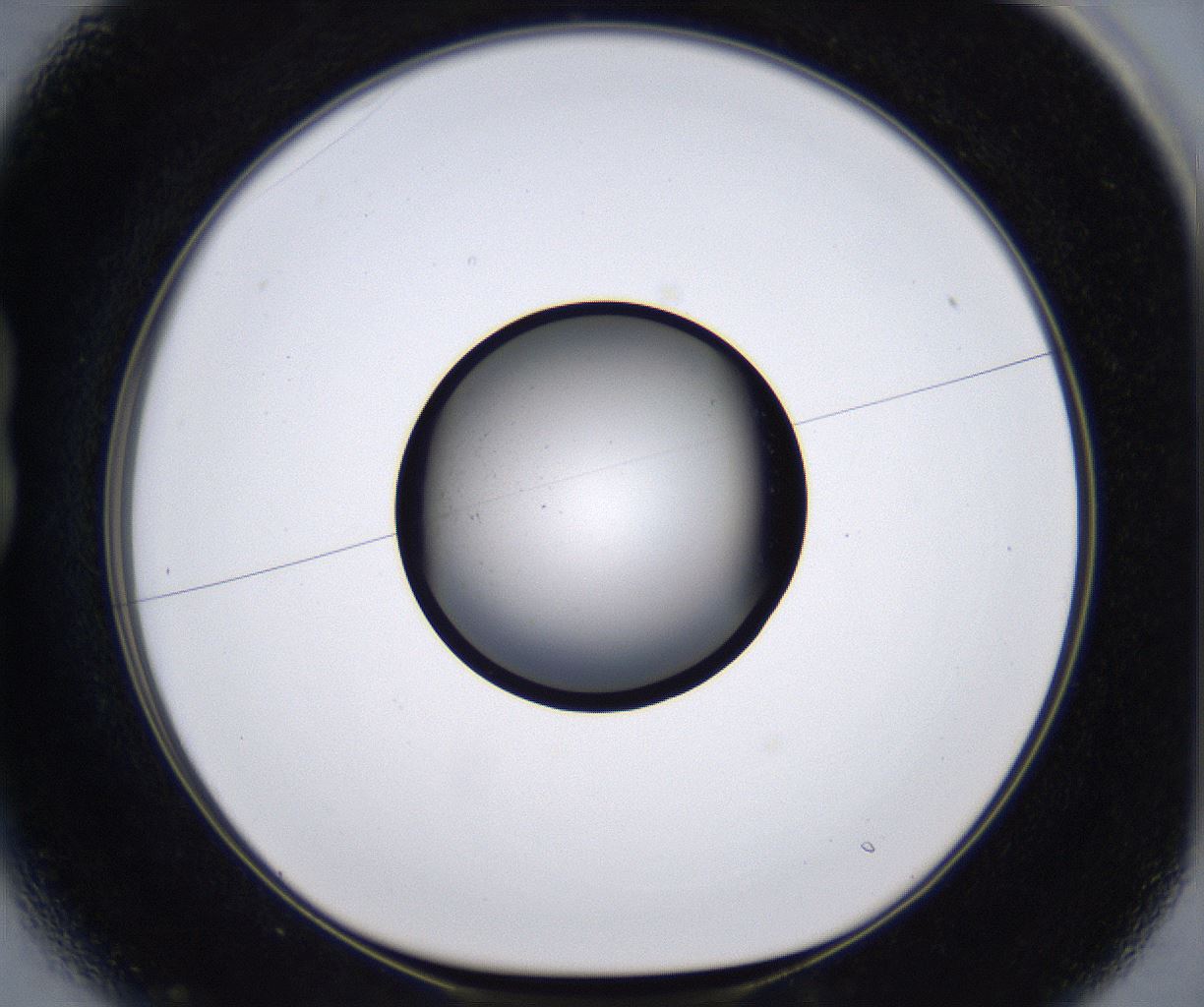 folderID215_plateID2215_batchID10049_wellNum13_profileID1_d1_r150735_ef.jpg