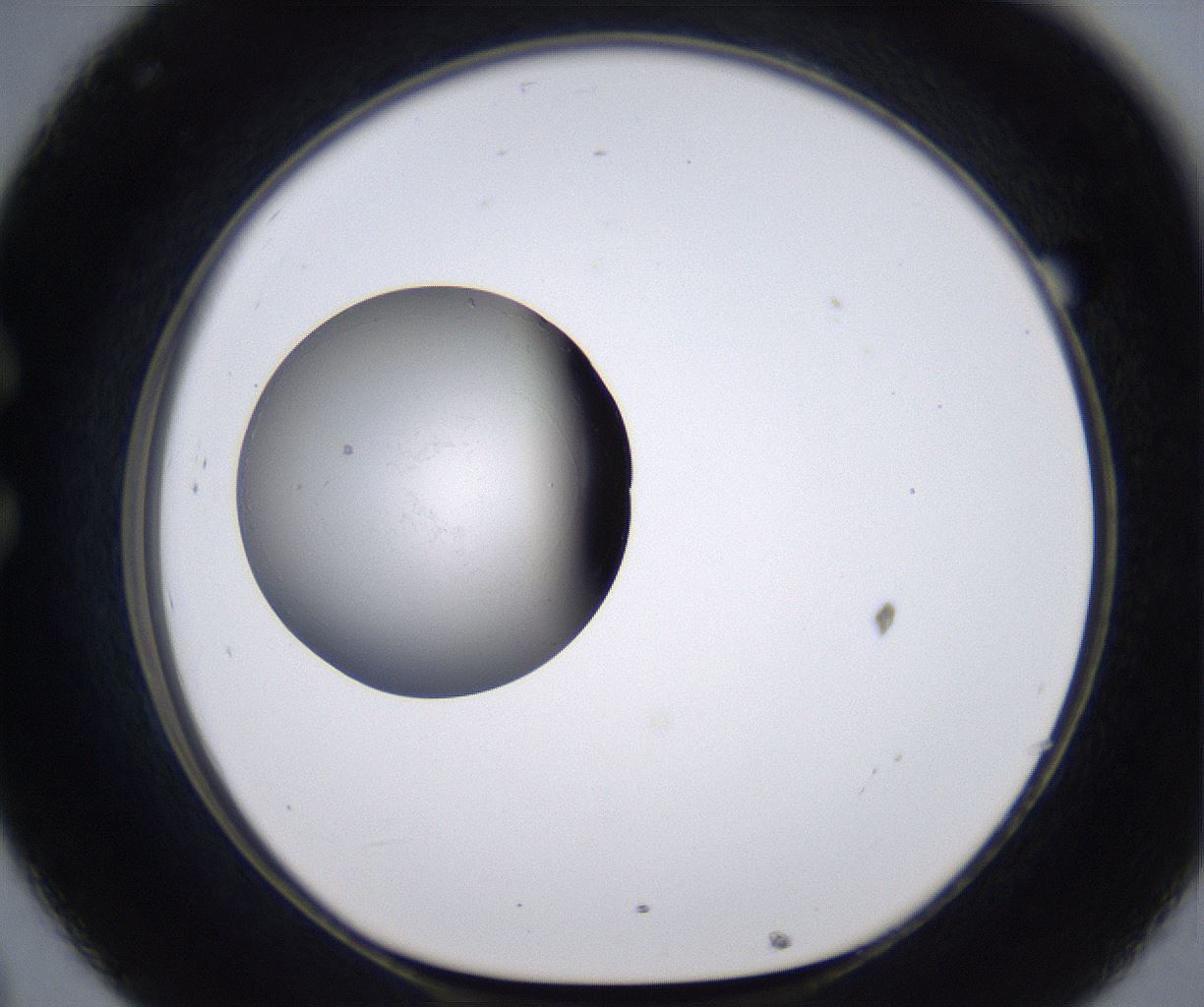 folderID215_plateID2215_batchID10049_wellNum32_profileID1_d1_r150773_ef.jpg