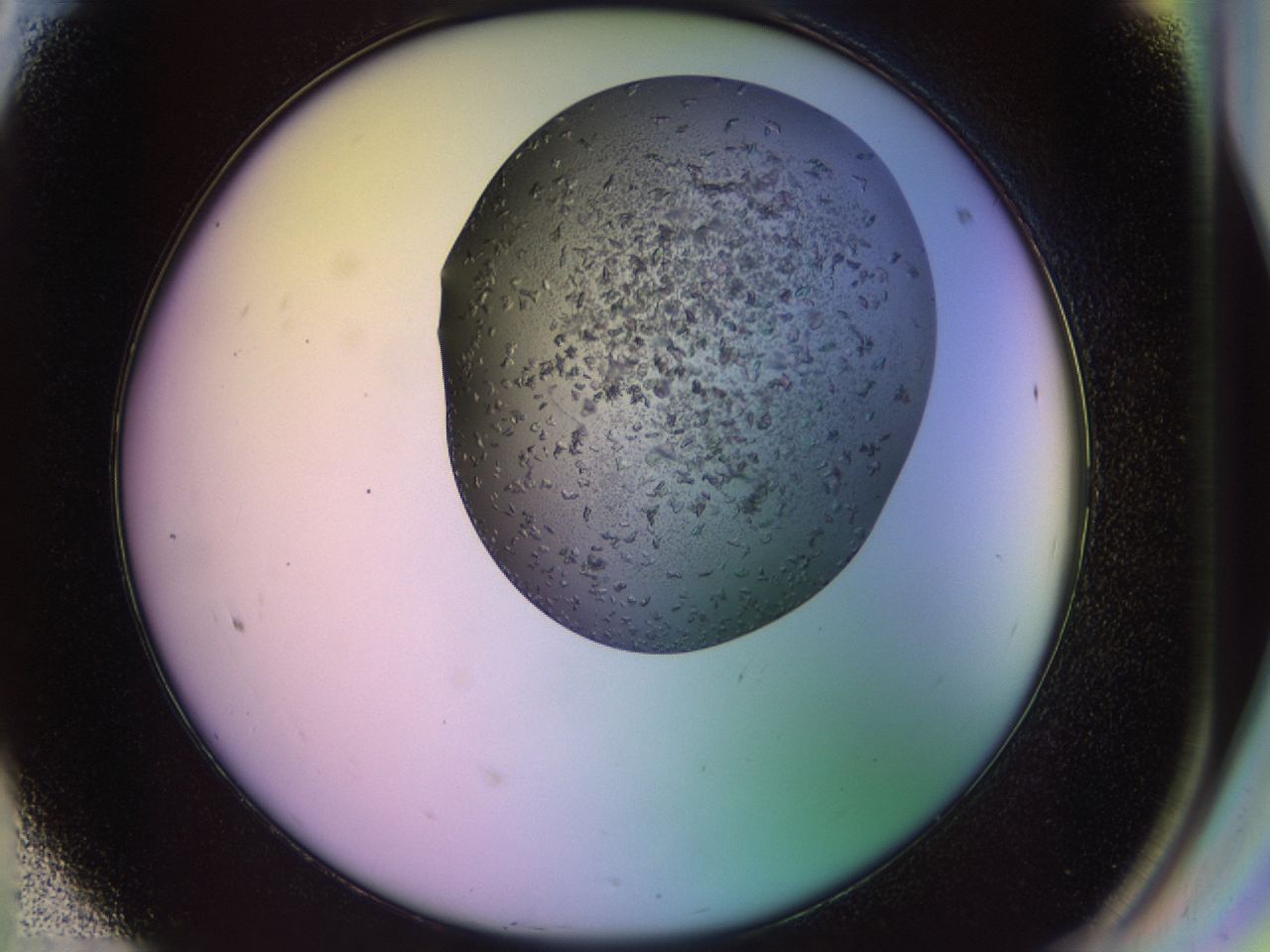 02g2_F8_ImagerDefaults_7.jpg