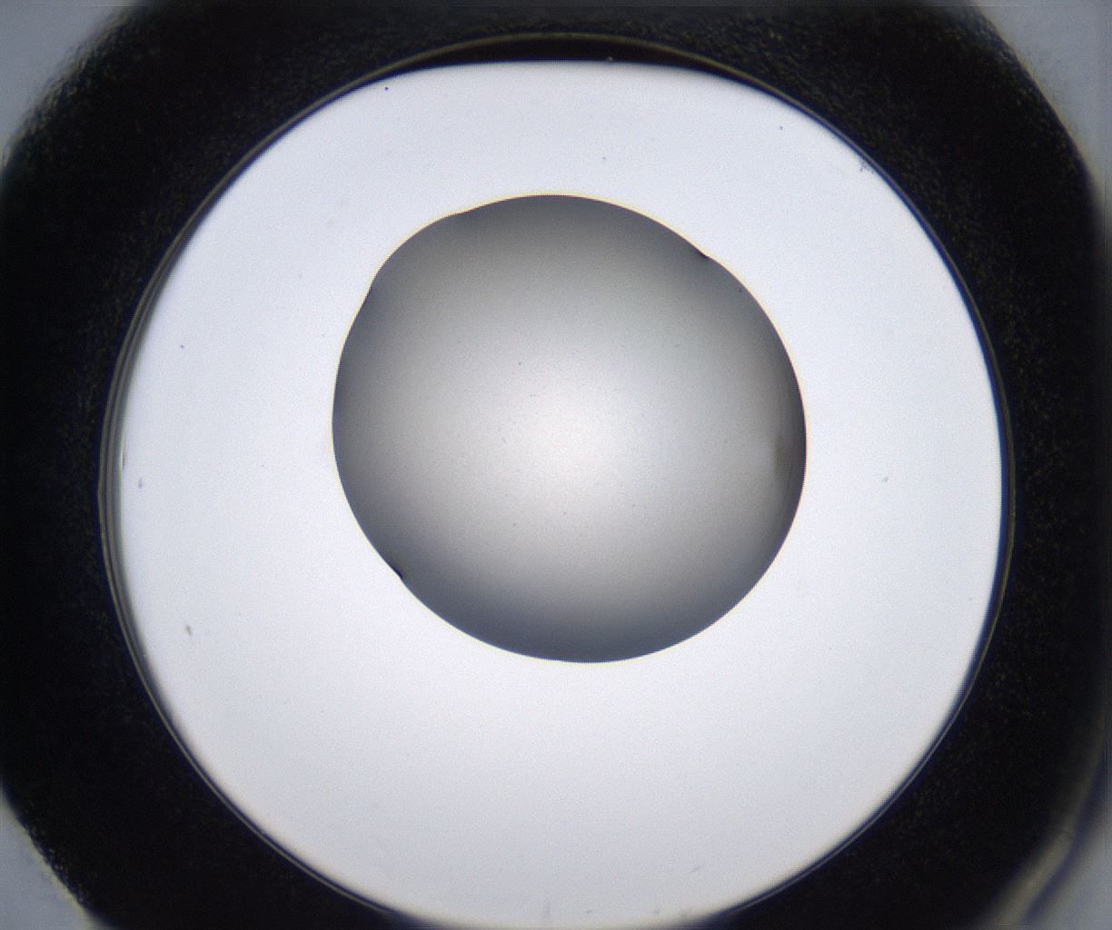 folderID215_plateID2215_batchID10049_wellNum61_profileID1_d2_r150832_ef.jpg