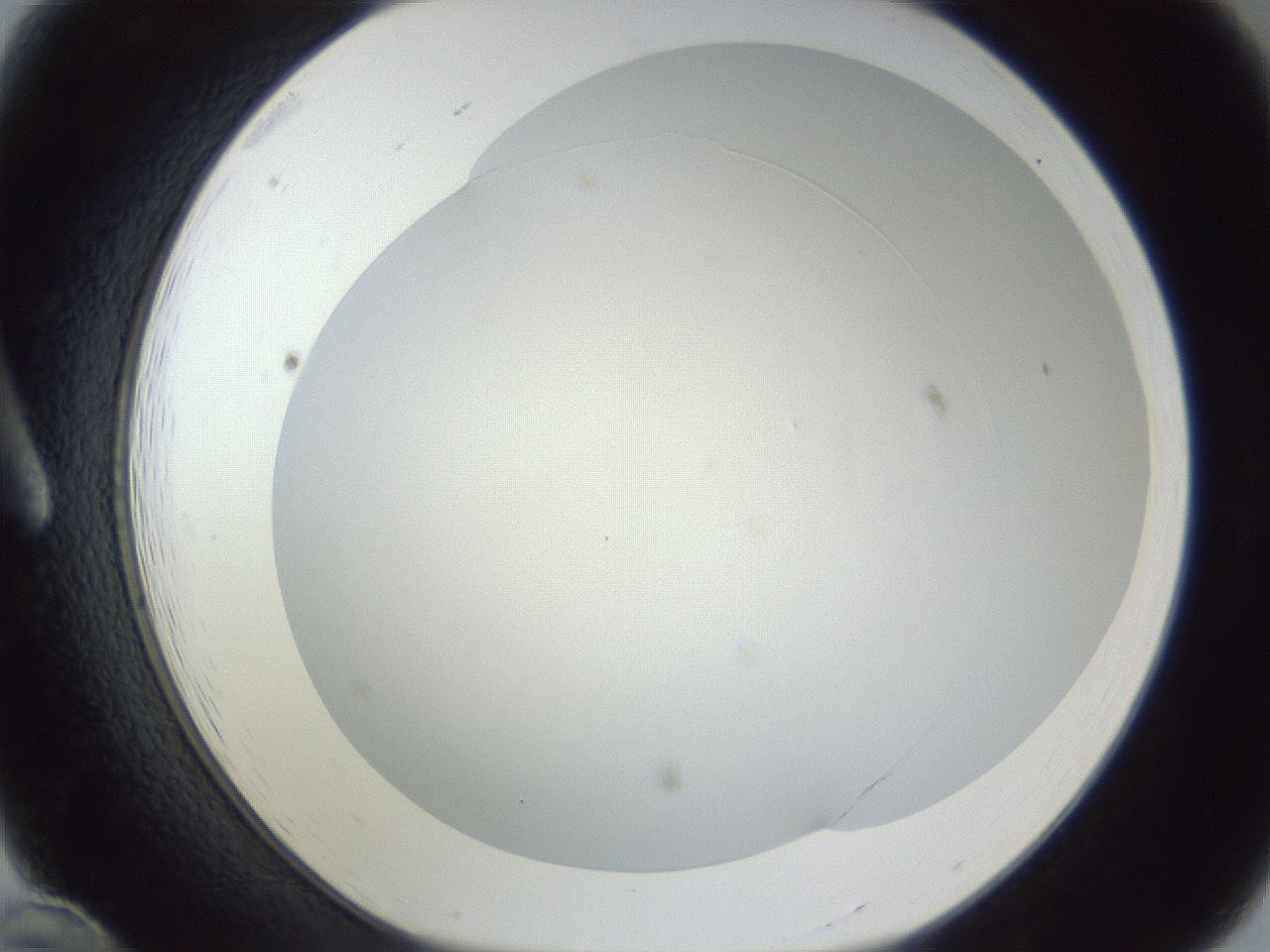 folderID216_plateID1216_batchID3622_wellNum12_profileID1_d1_r68118_ef.jpg