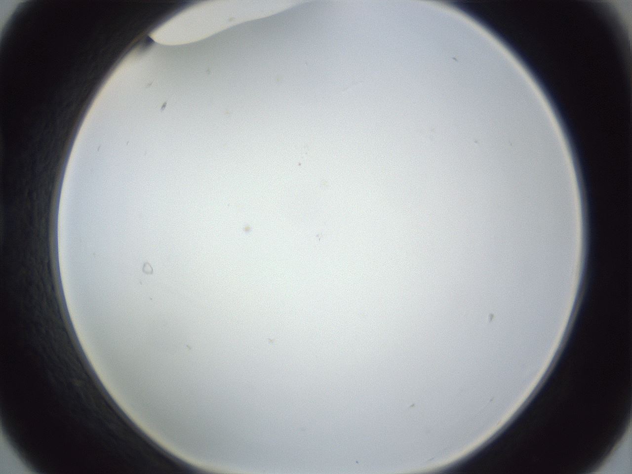 folderID216_plateID1216_batchID3622_wellNum21_profileID1_d1_r68136_ef.jpg