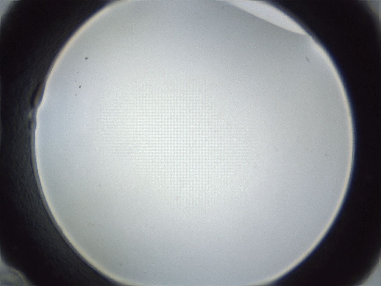 folderID216_plateID1216_batchID3622_wellNum22_profileID1_d1_r68138_ef.jpg