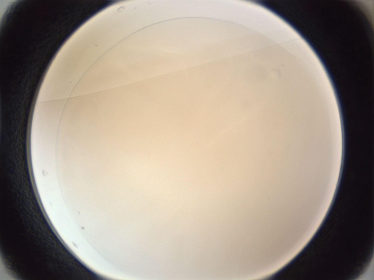 folderID216_plateID1216_batchID3622_wellNum37_profileID1_d1_r68168_ef.jpg