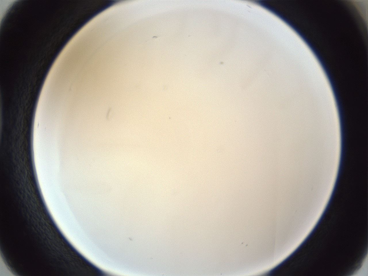 folderID216_plateID1216_batchID3622_wellNum38_profileID1_d1_r68170_ef.jpg