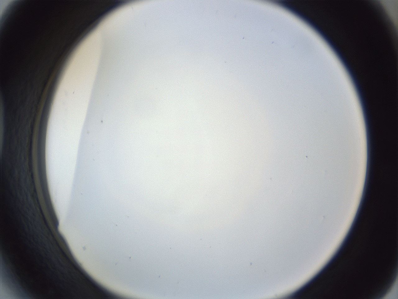 folderID216_plateID1216_batchID3622_wellNum41_profileID1_d1_r68176_ef.jpg