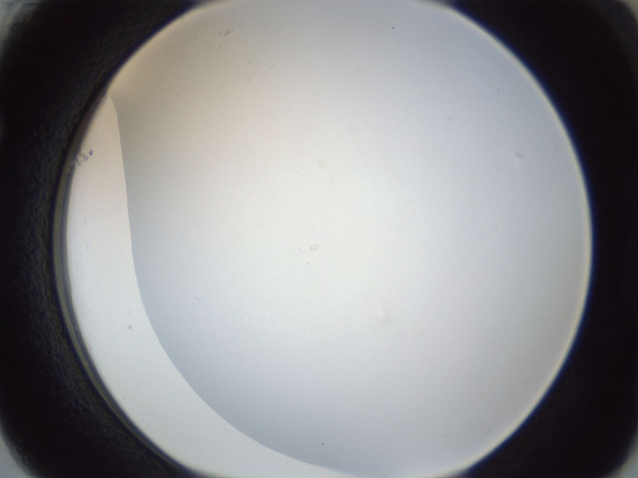 folderID216_plateID1216_batchID3622_wellNum61_profileID1_d1_r68216_ef.jpg