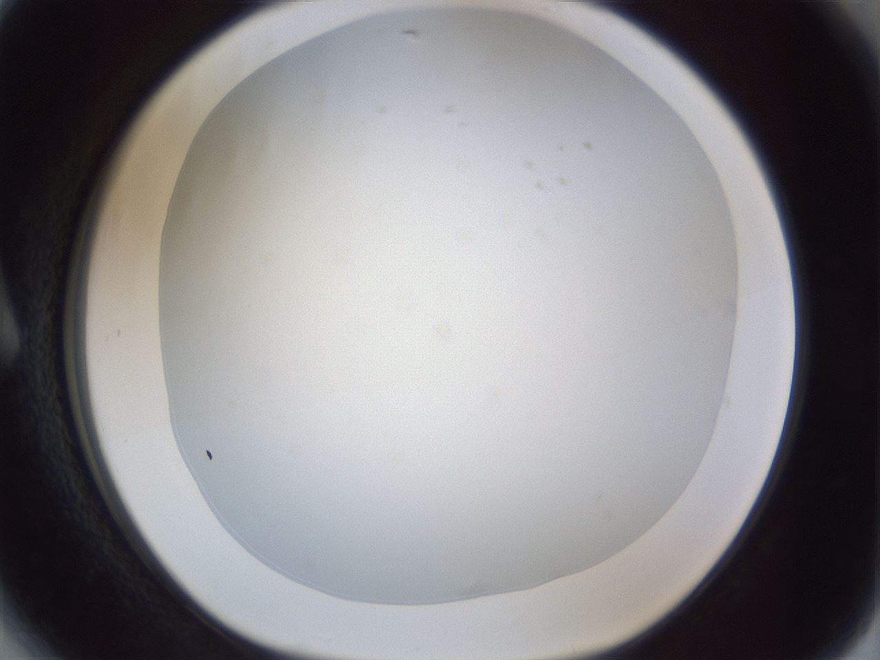folderID216_plateID1216_batchID3622_wellNum6_profileID1_d1_r68106_ef.jpg