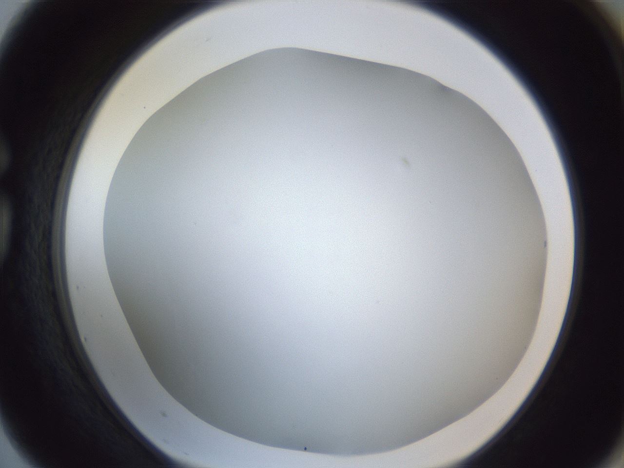 folderID216_plateID1216_batchID3622_wellNum75_profileID1_d1_r68244_ef.jpg