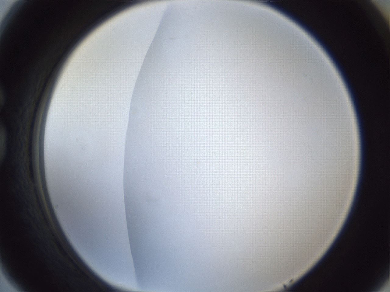 folderID216_plateID1216_batchID3622_wellNum77_profileID1_d1_r68248_ef.jpg