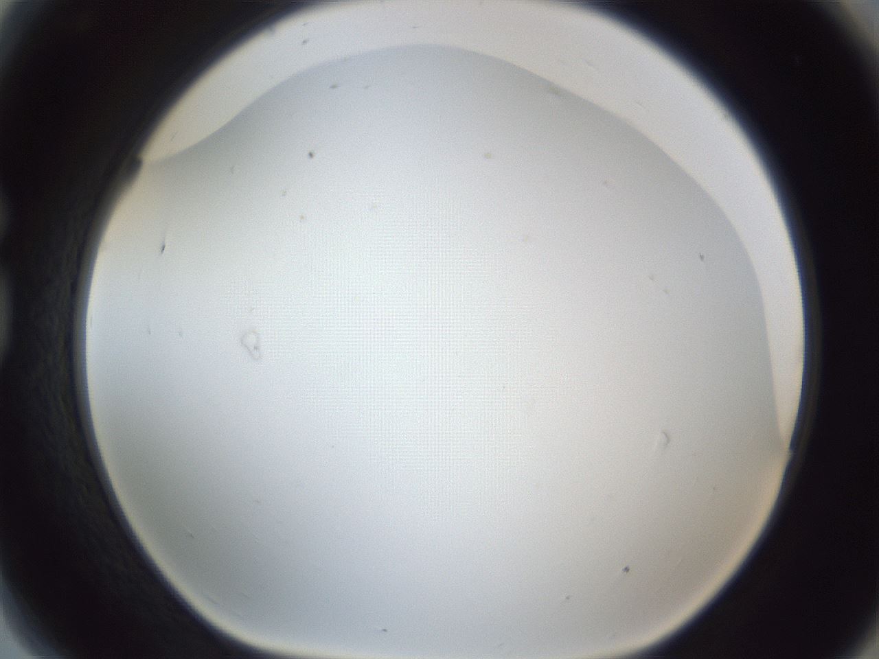 folderID216_plateID1216_batchID3622_wellNum81_profileID1_d1_r68256_ef.jpg