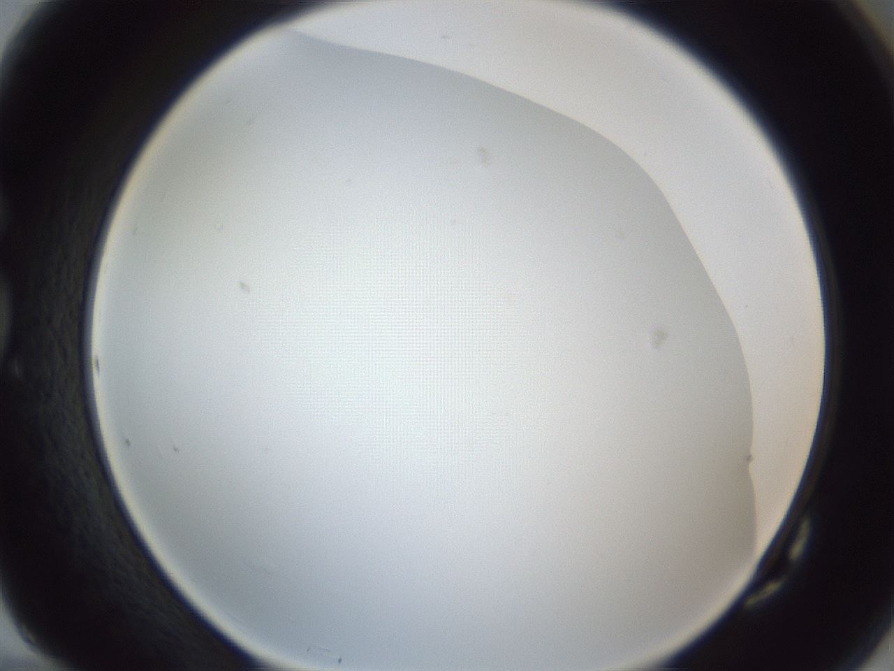 folderID216_plateID1216_batchID3622_wellNum82_profileID1_d1_r68258_ef.jpg