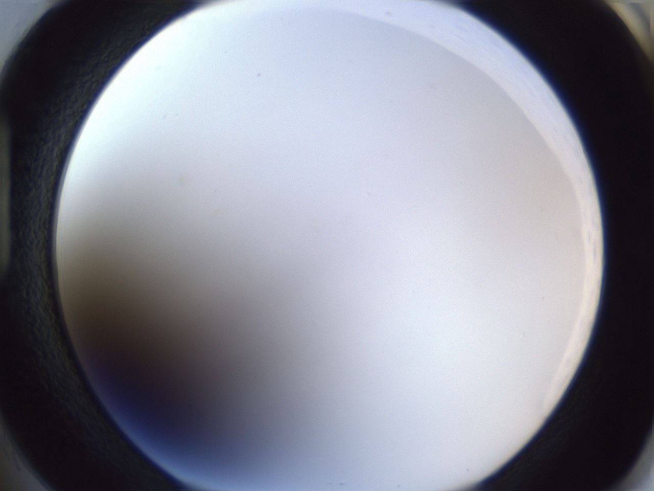 folderID216_plateID1216_batchID3622_wellNum85_profileID1_d1_r68264_ef.jpg