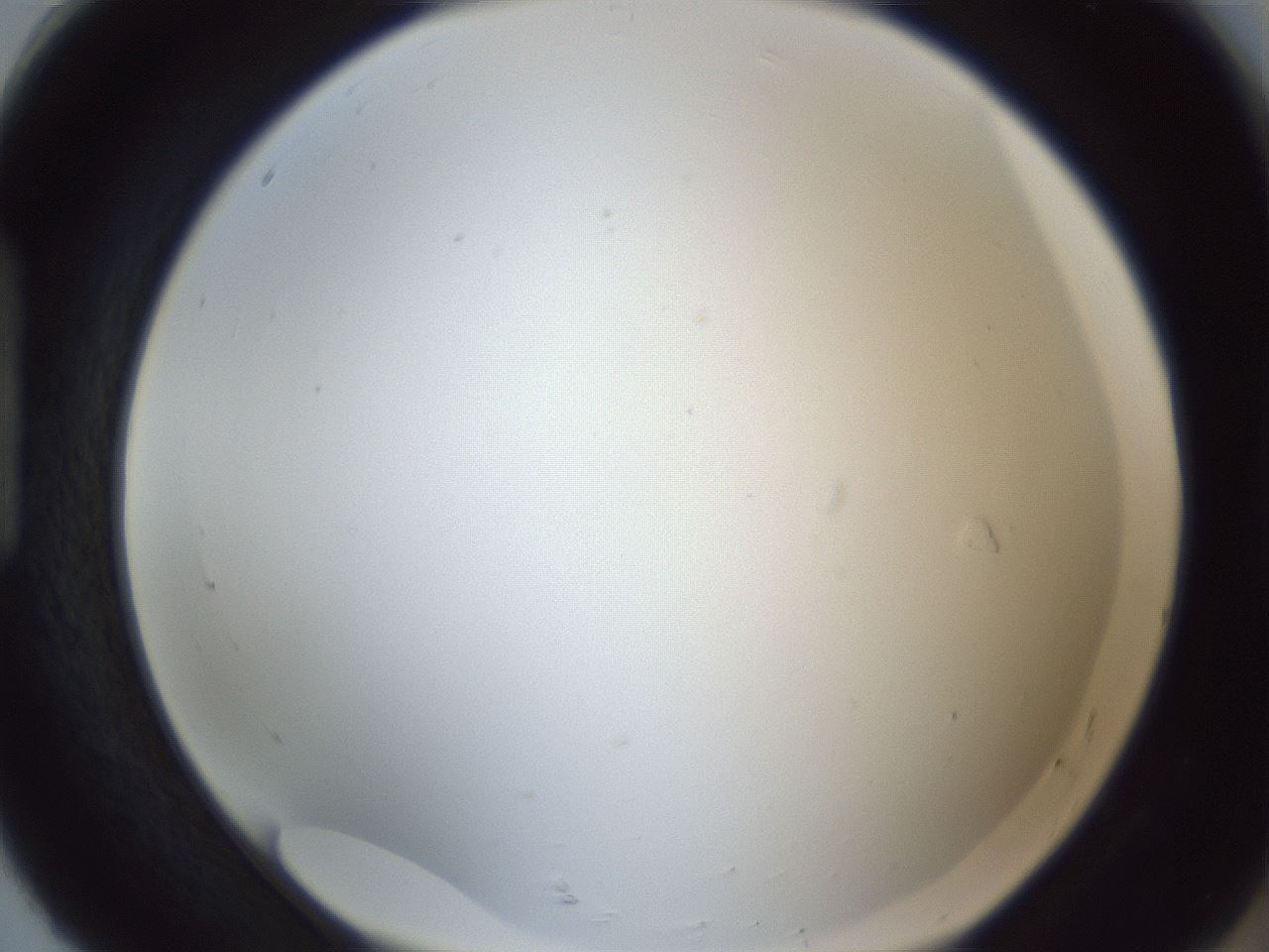 folderID216_plateID1216_batchID3622_wellNum92_profileID1_d1_r68278_ef.jpg