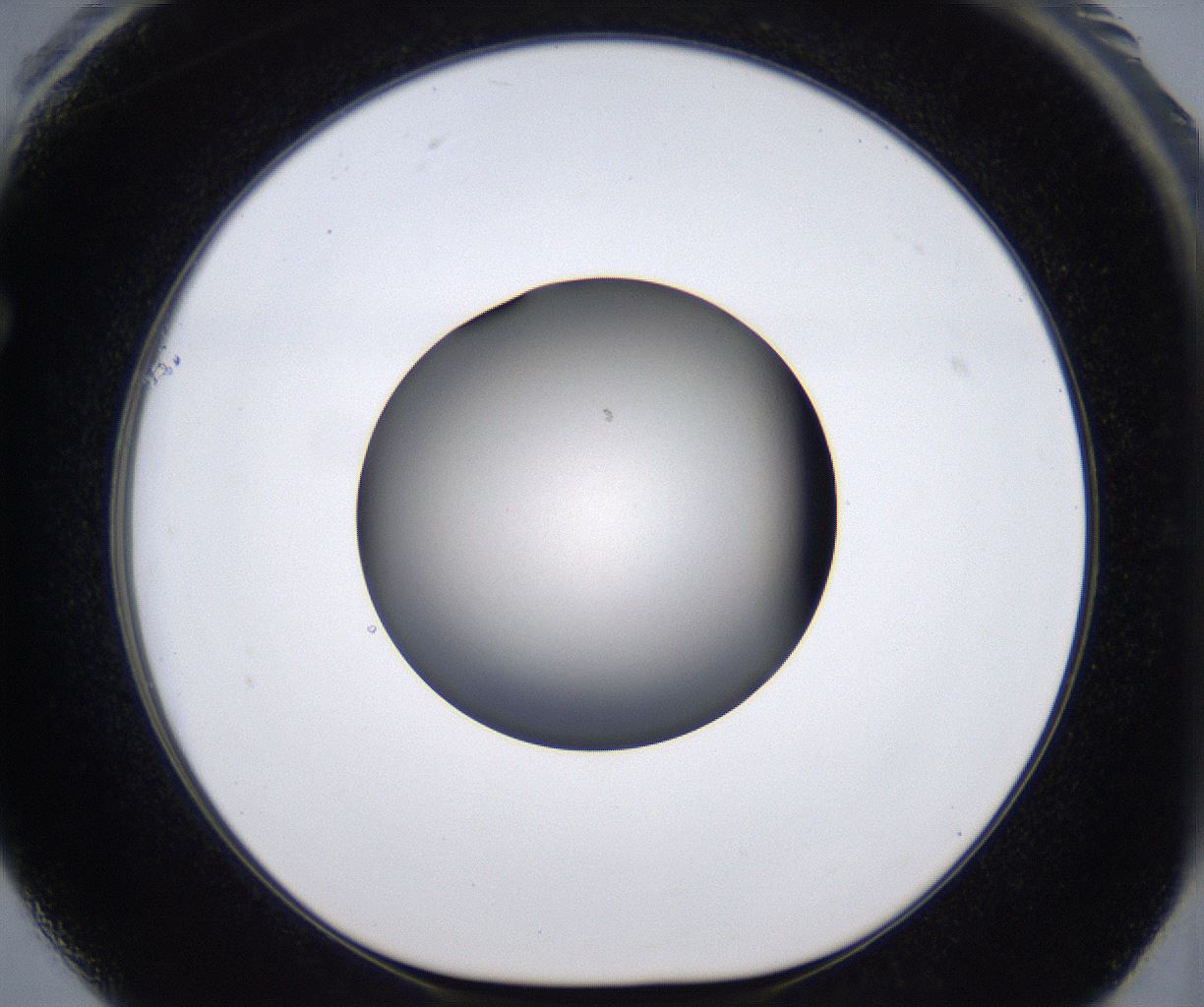folderID215_plateID2215_batchID10049_wellNum61_profileID1_d1_r150831_ef.jpg