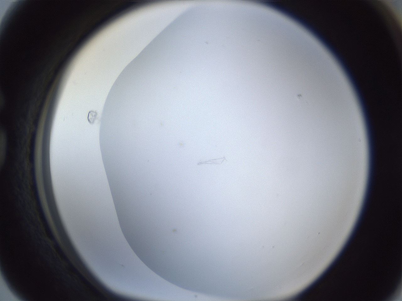 folderID216_plateID1216_batchID3622_wellNum76_profileID1_d1_r68246_ef.jpg