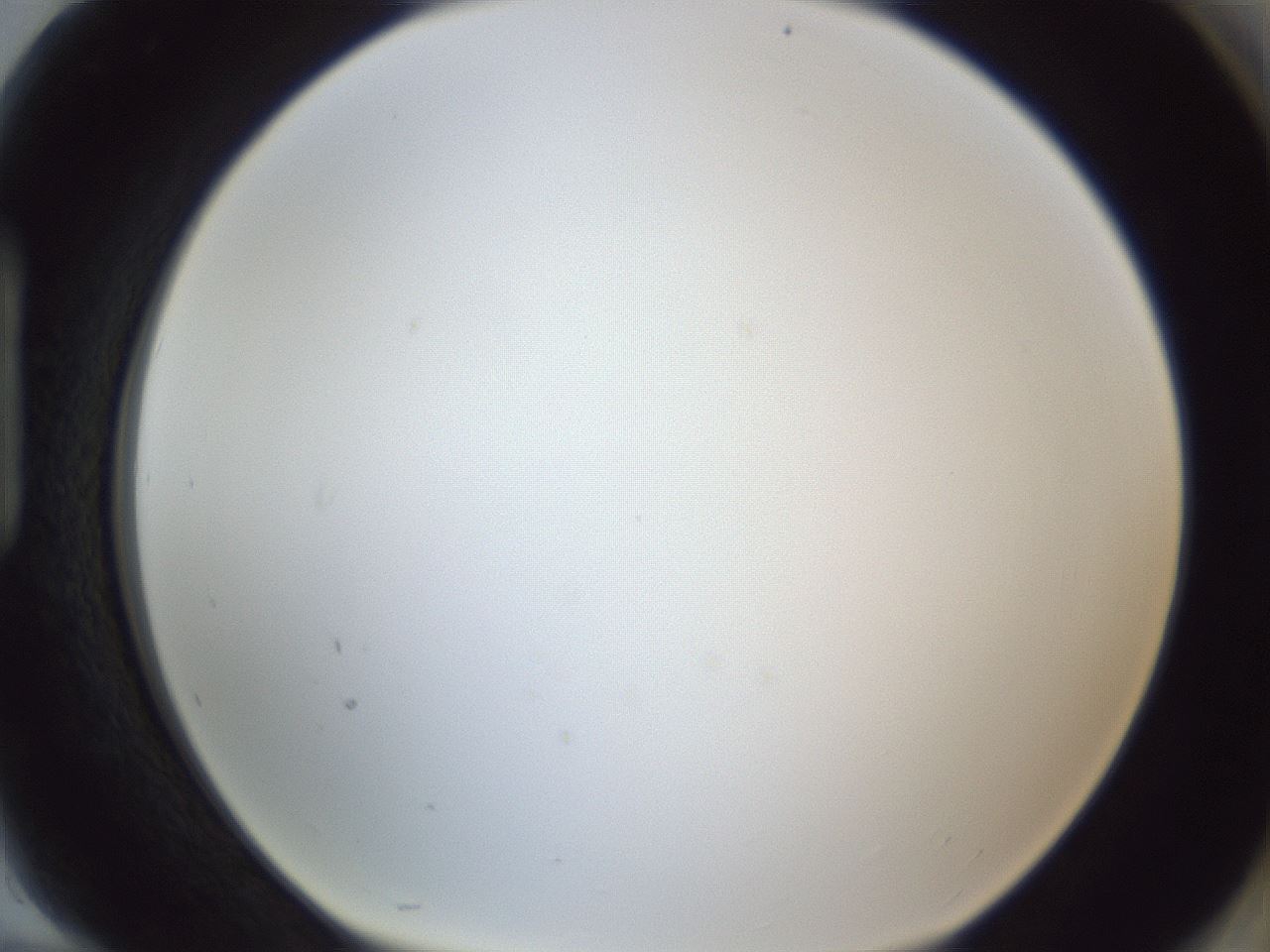 folderID216_plateID1216_batchID3622_wellNum94_profileID1_d1_r68282_ef.jpg