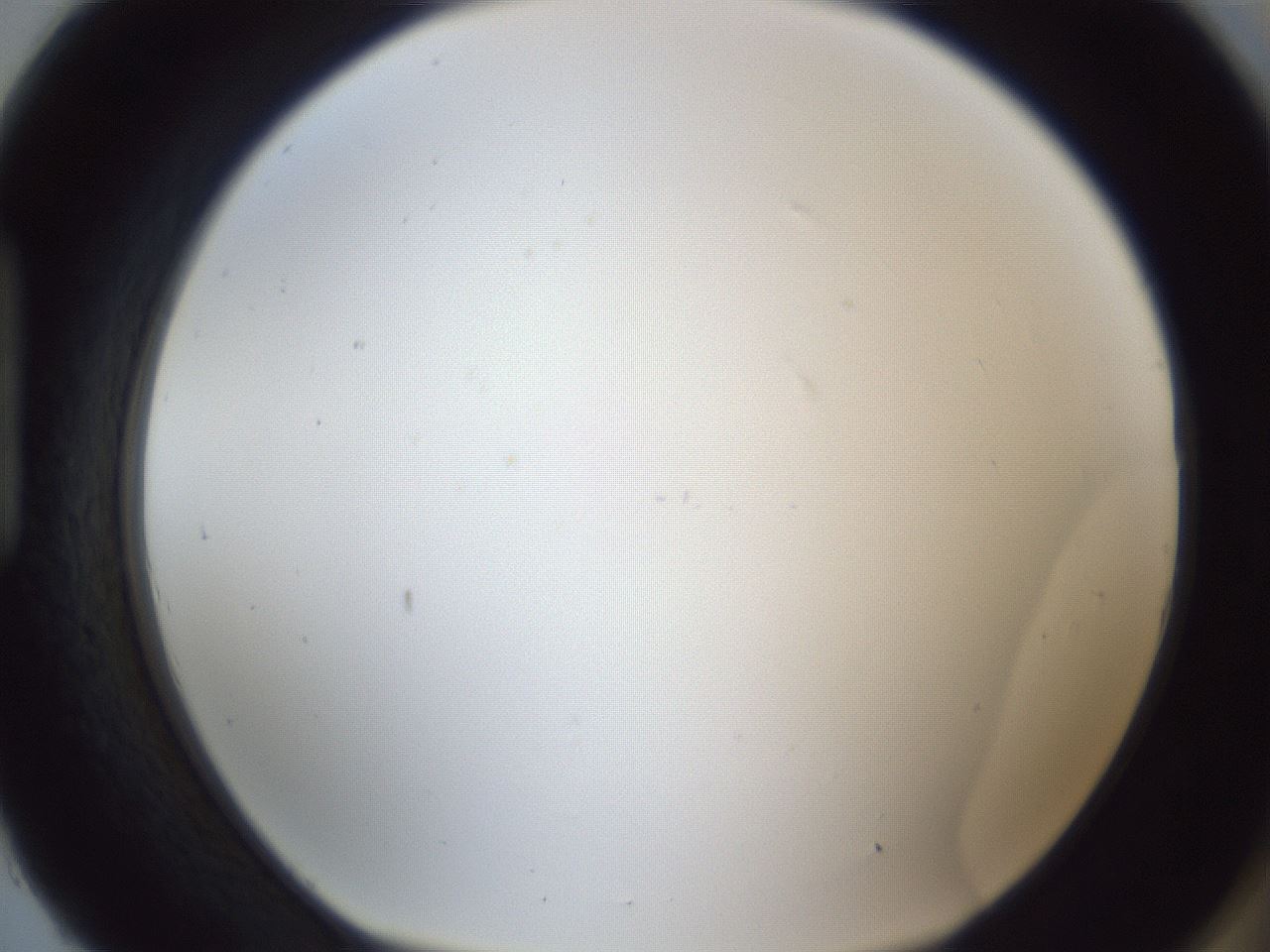 folderID216_plateID1216_batchID3656_wellNum93_profileID1_d1_r68280_ef.jpg