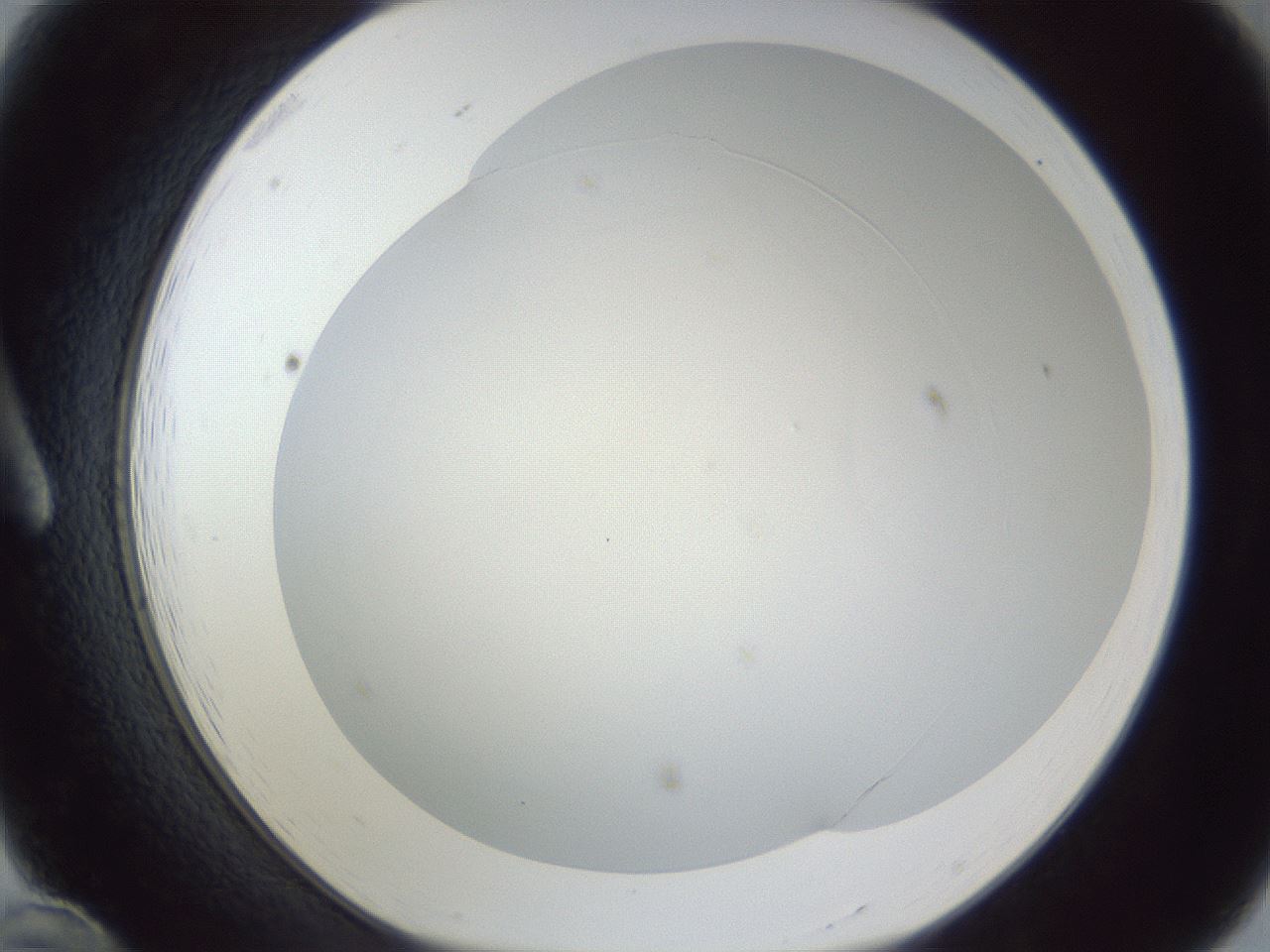 folderID216_plateID1216_batchID3656_wellNum12_profileID1_d1_r68118_ef.jpg
