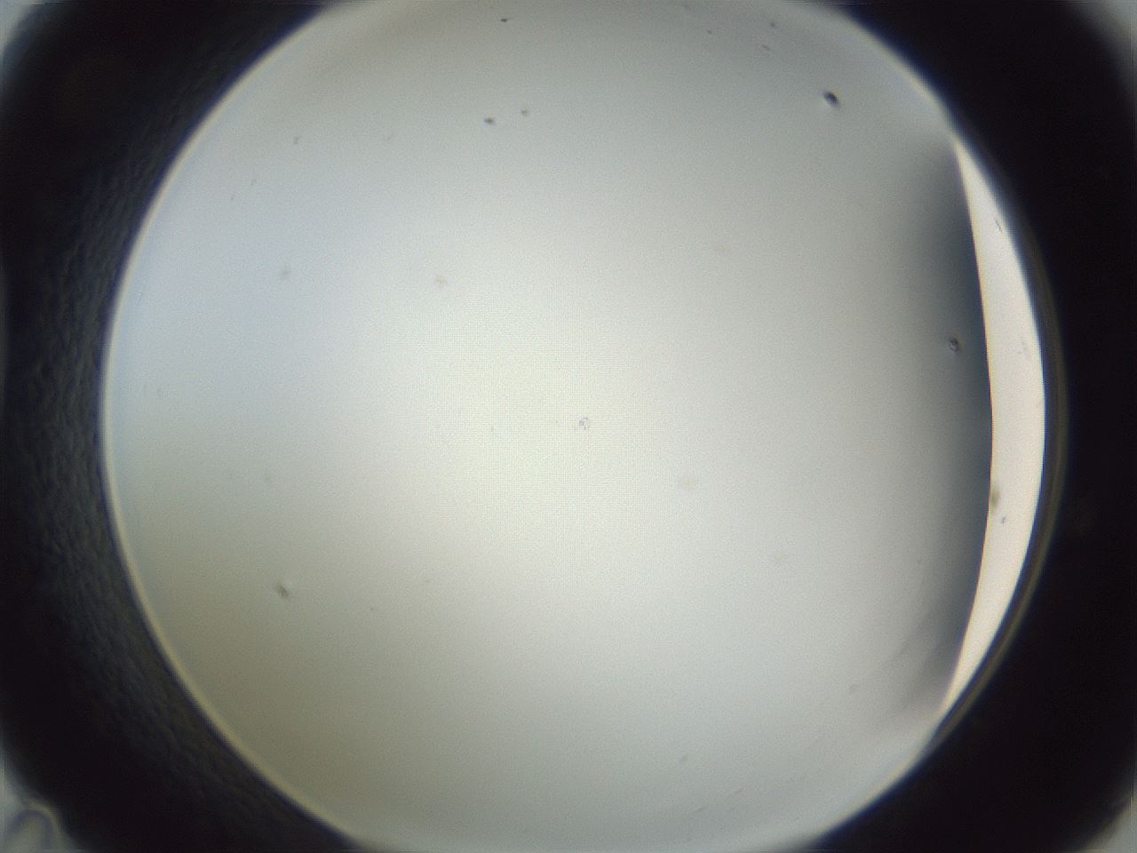 folderID216_plateID1216_batchID3656_wellNum47_profileID1_d1_r68188_ef.jpg