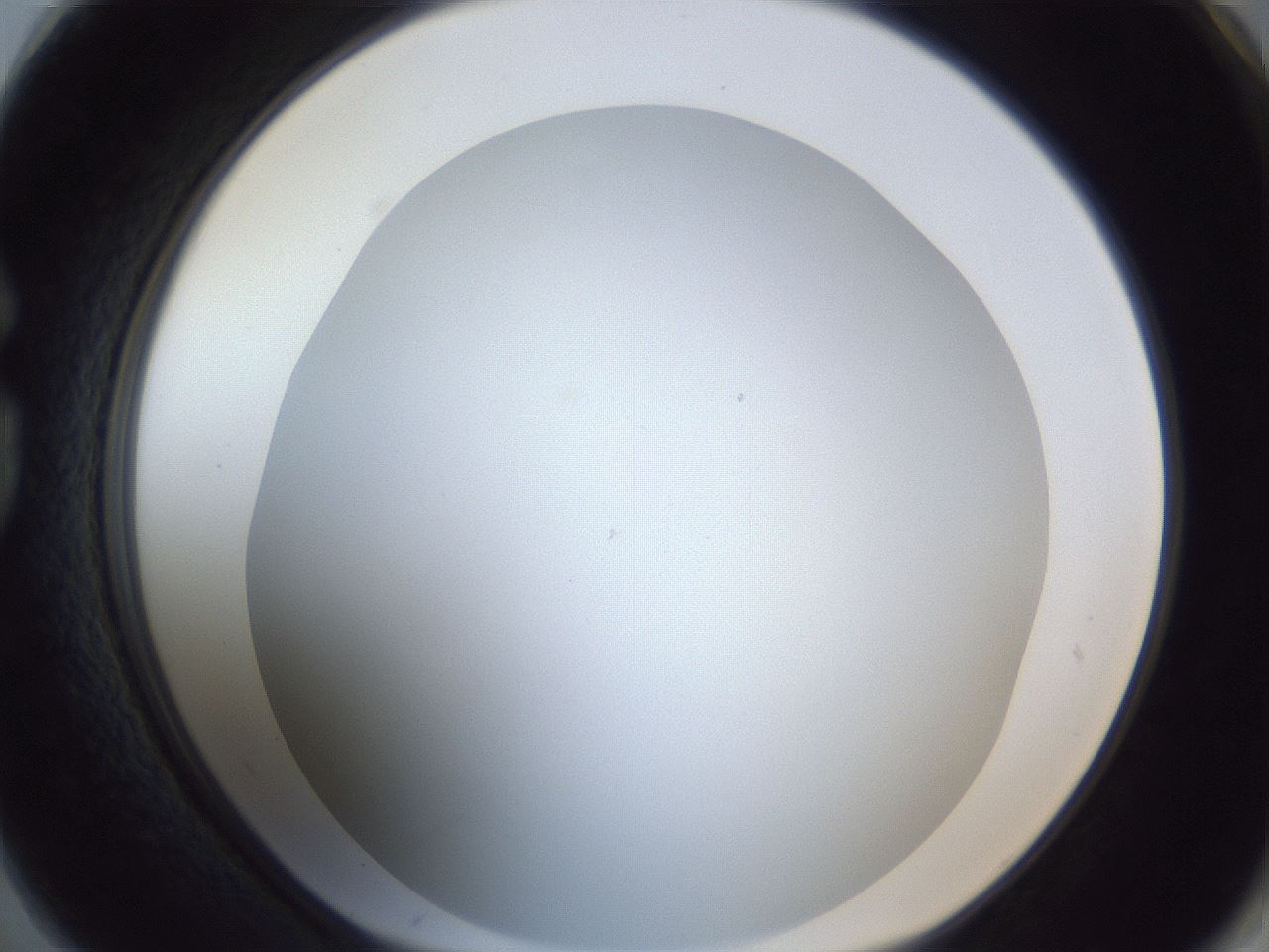 folderID216_plateID1216_batchID3656_wellNum74_profileID1_d1_r68242_ef.jpg