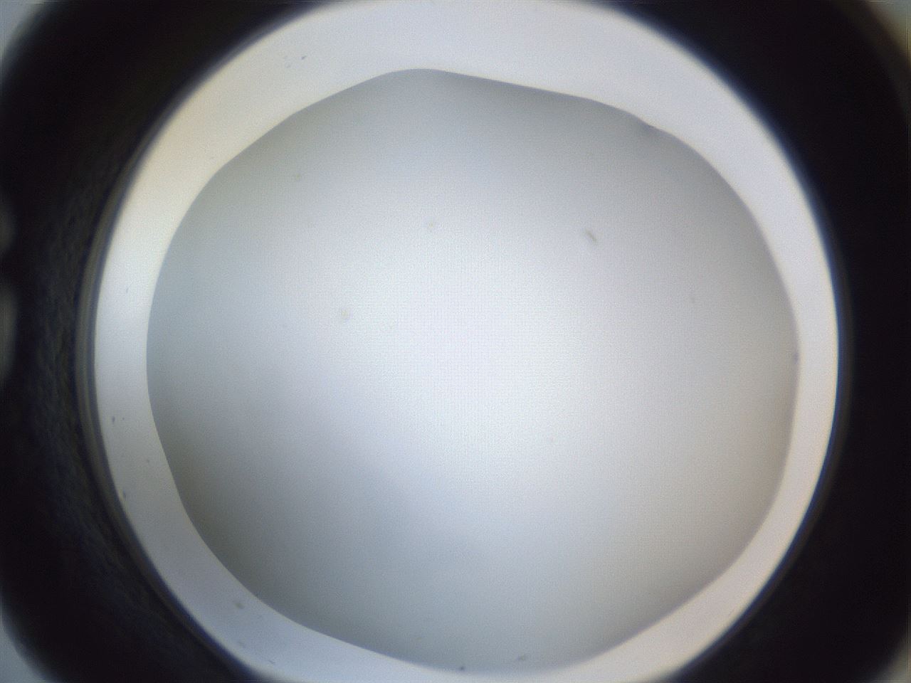 folderID216_plateID1216_batchID3656_wellNum75_profileID1_d1_r68244_ef.jpg