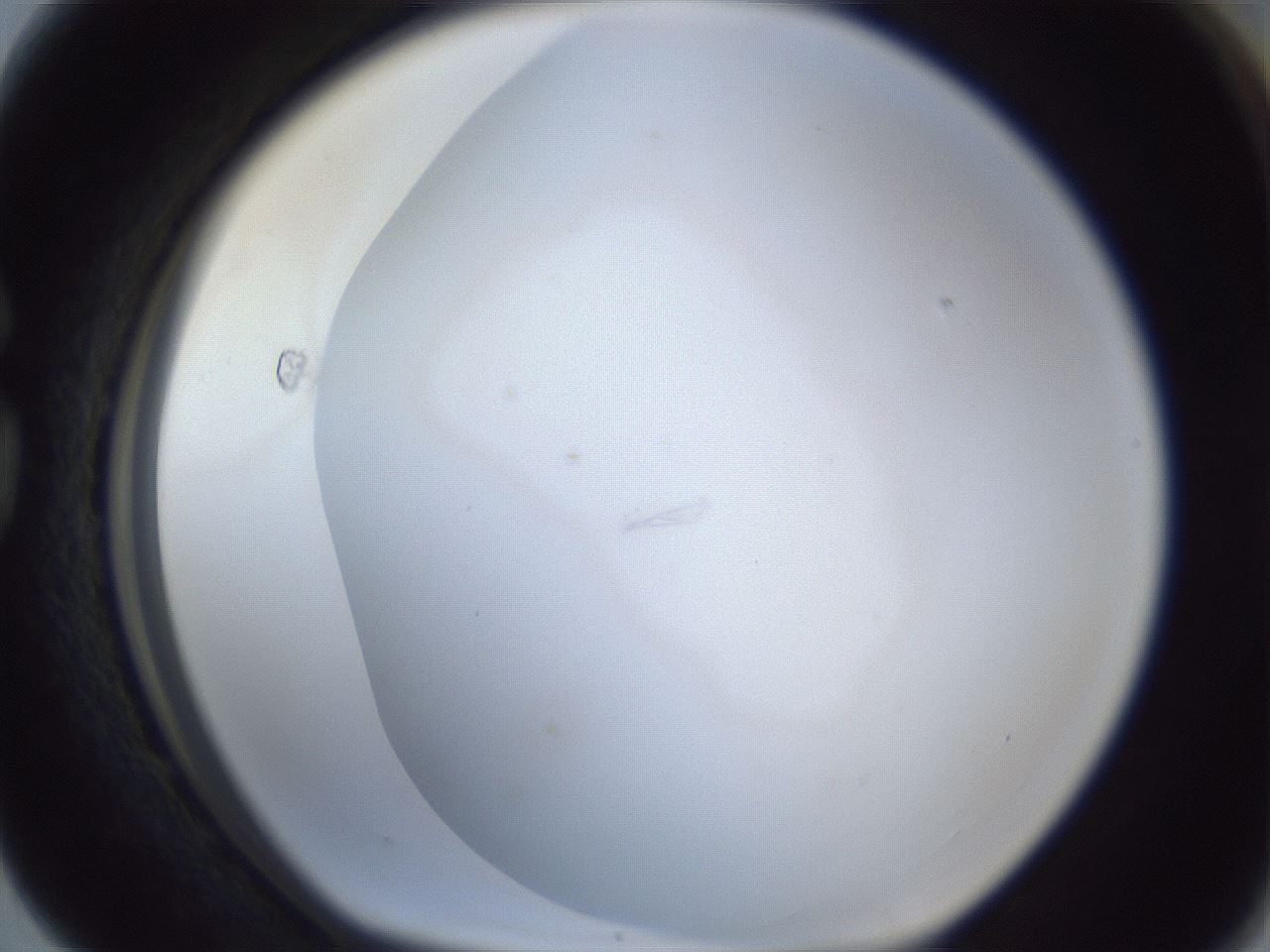 folderID216_plateID1216_batchID3656_wellNum76_profileID1_d1_r68246_ef.jpg