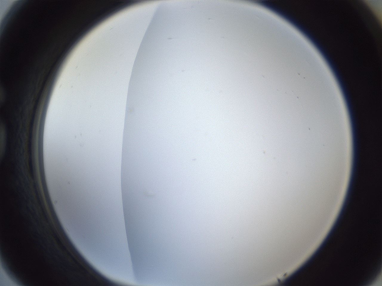 folderID216_plateID1216_batchID3656_wellNum77_profileID1_d1_r68248_ef.jpg