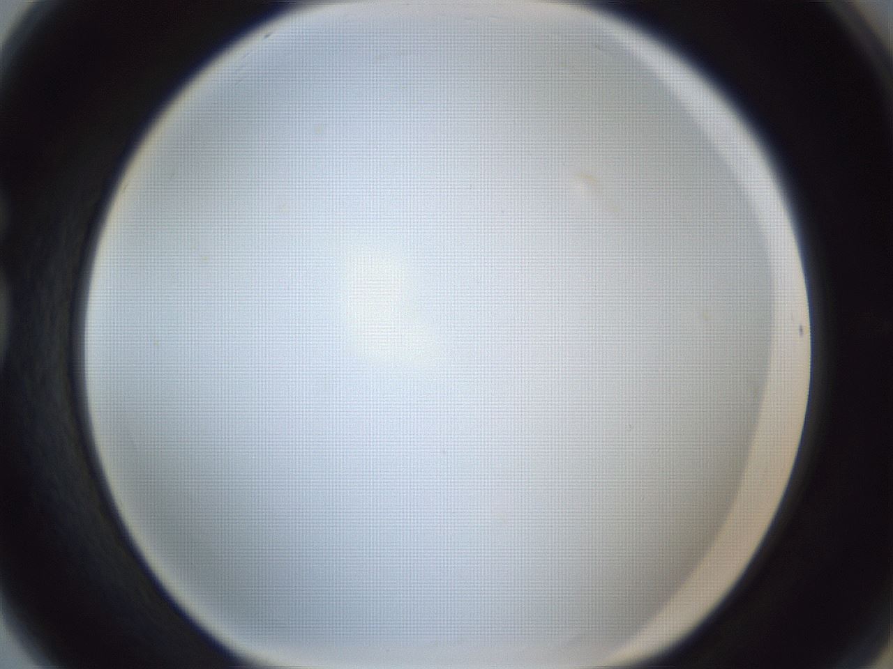 folderID216_plateID1216_batchID3656_wellNum80_profileID1_d1_r68254_ef.jpg