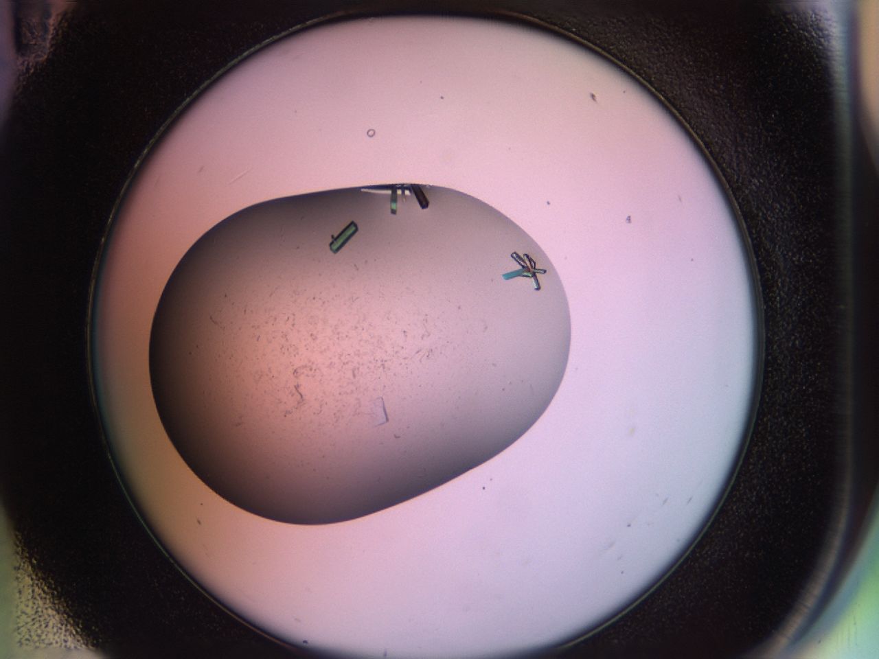 02g3_E11_ImagerDefaults_9.jpg
