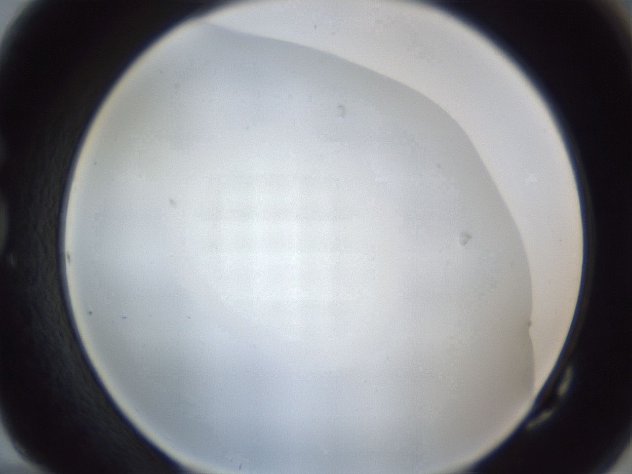folderID216_plateID1216_batchID3656_wellNum82_profileID1_d1_r68258_ef.jpg