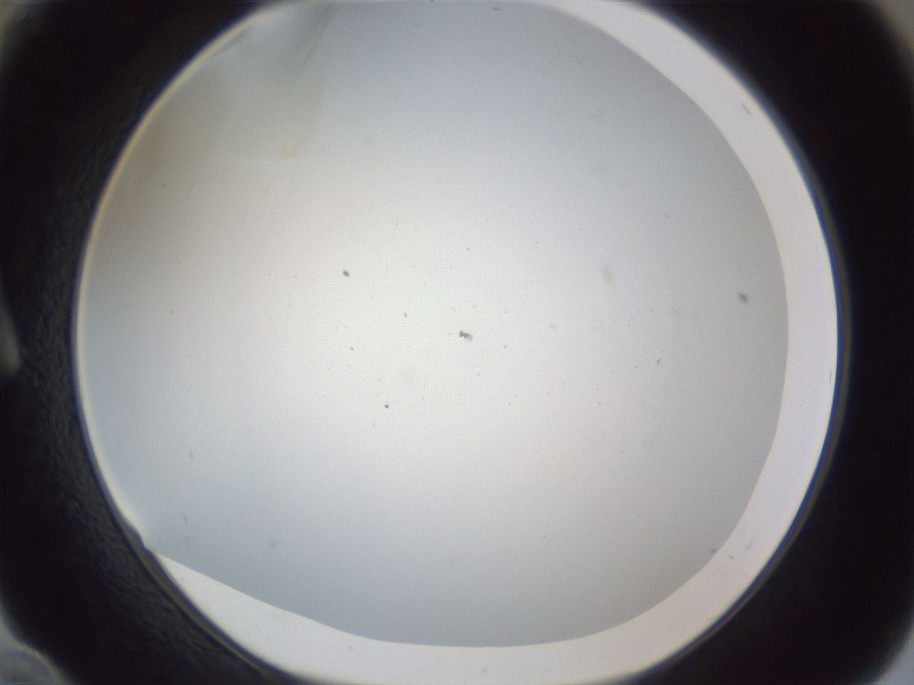 folderID217_plateID1217_batchID3625_wellNum10_profileID1_d1_r68786_ef.jpg
