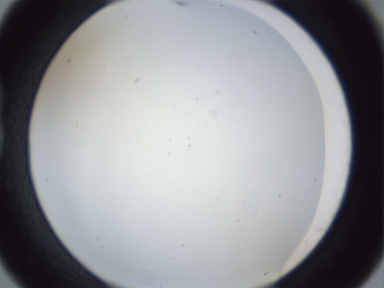 folderID217_plateID1217_batchID3625_wellNum18_profileID1_d1_r68802_ef.jpg