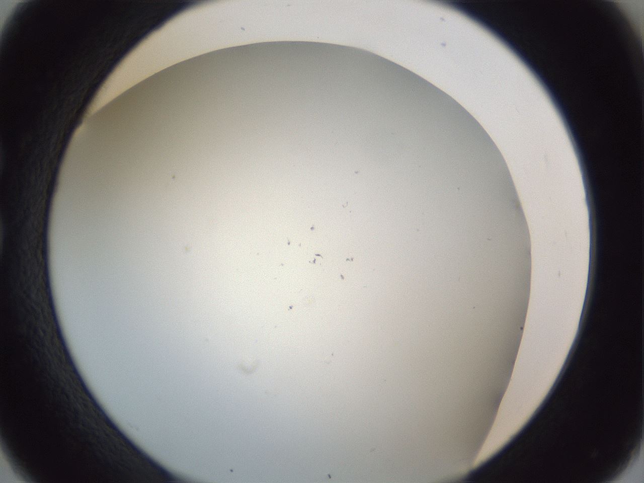 folderID217_plateID1217_batchID3625_wellNum26_profileID1_d1_r68818_ef.jpg