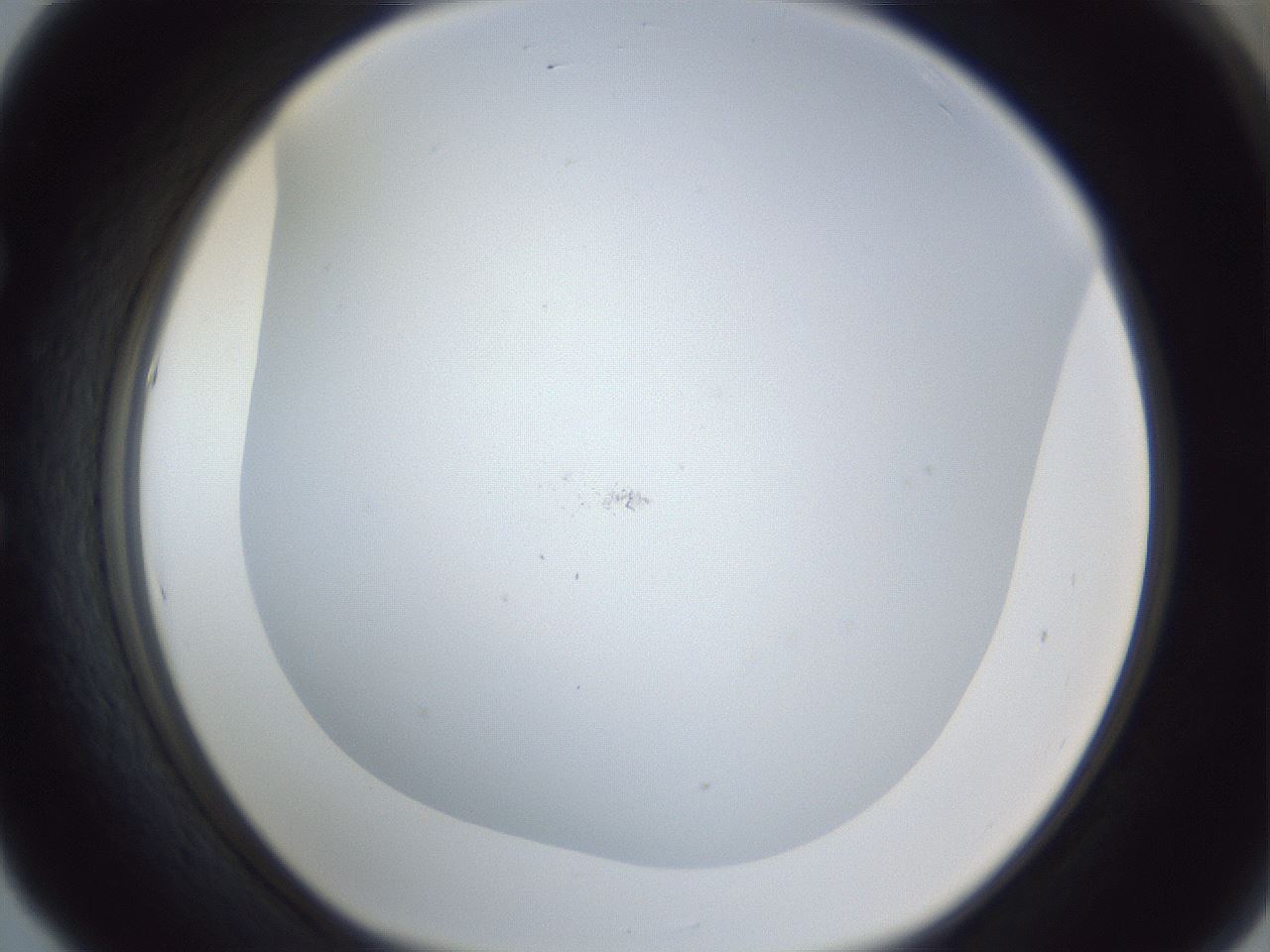 folderID217_plateID1217_batchID3625_wellNum53_profileID1_d1_r68872_ef.jpg