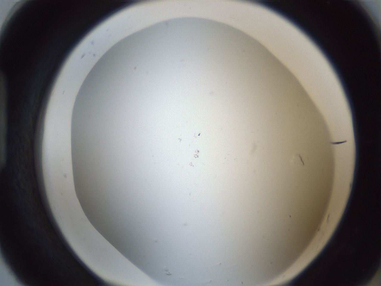 folderID217_plateID1217_batchID3625_wellNum92_profileID1_d1_r68950_ef.jpg