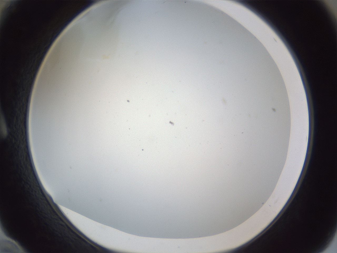 folderID217_plateID1217_batchID3671_wellNum10_profileID1_d1_r68786_ef.jpg