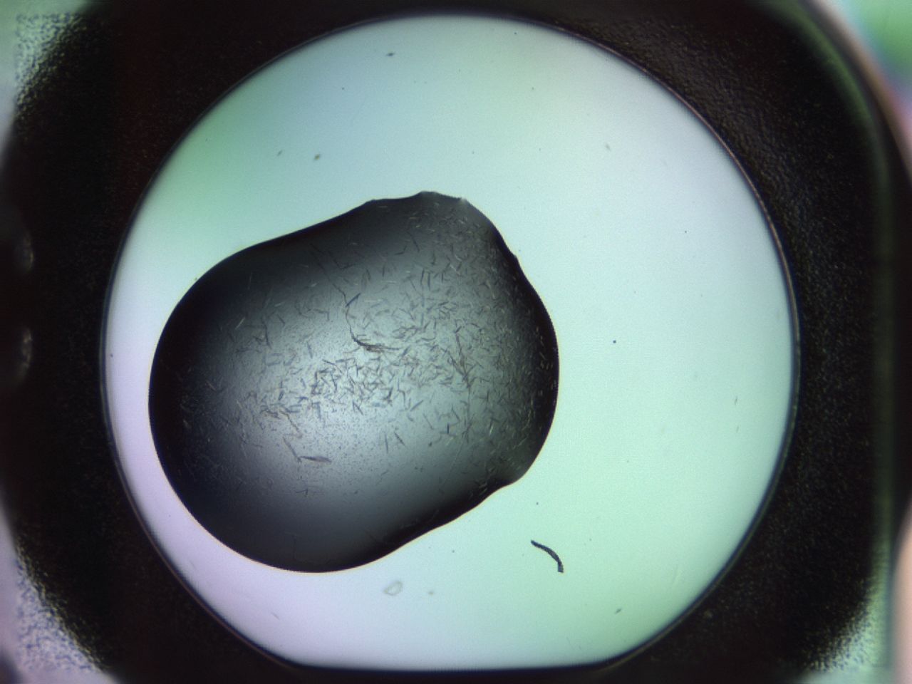 02g3_C6_ImagerDefaults_7.jpg