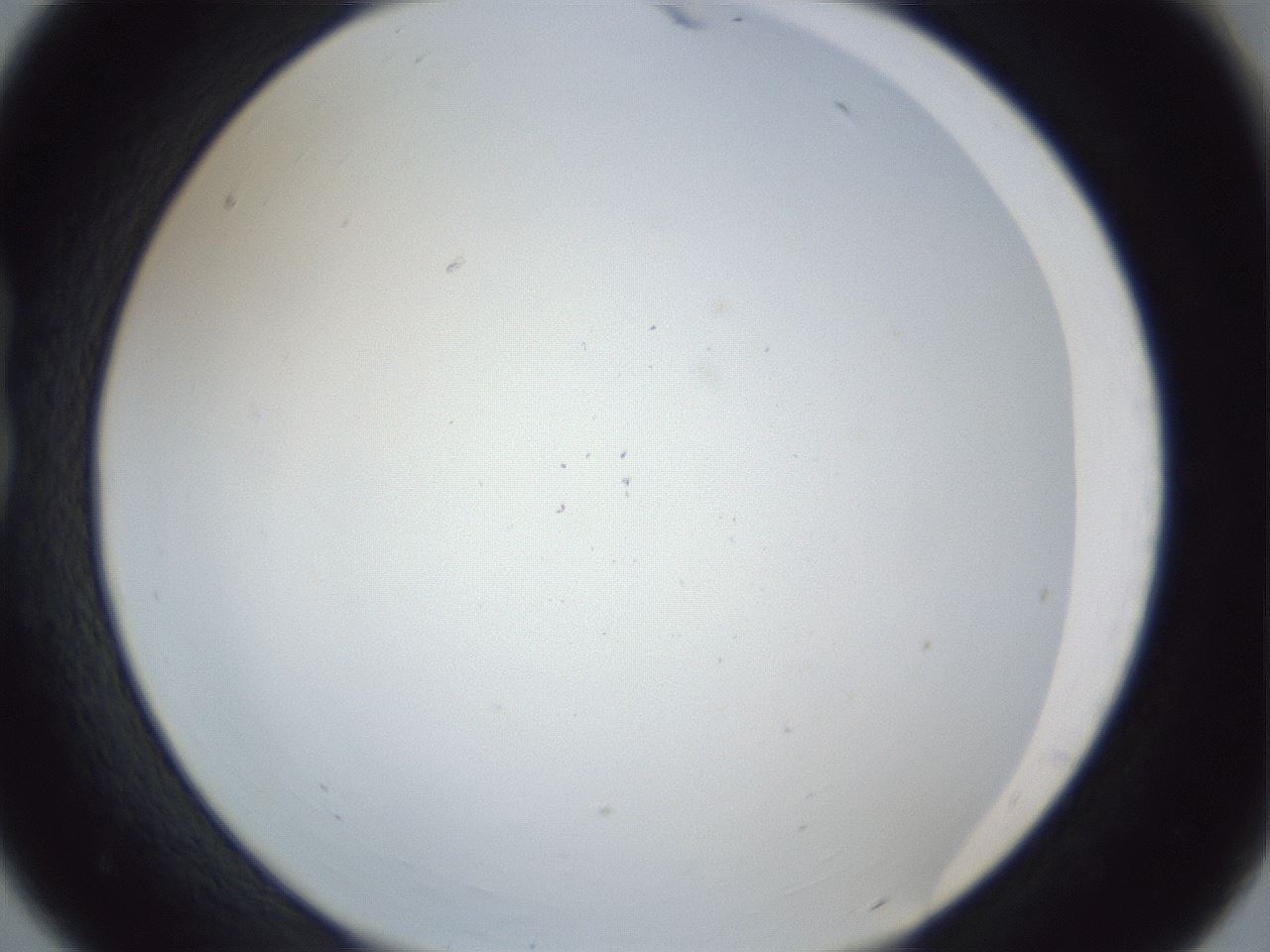 folderID217_plateID1217_batchID3671_wellNum18_profileID1_d1_r68802_ef.jpg