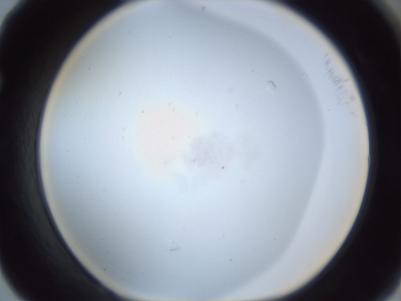 folderID217_plateID1217_batchID3671_wellNum68_profileID1_d1_r68902_ef.jpg