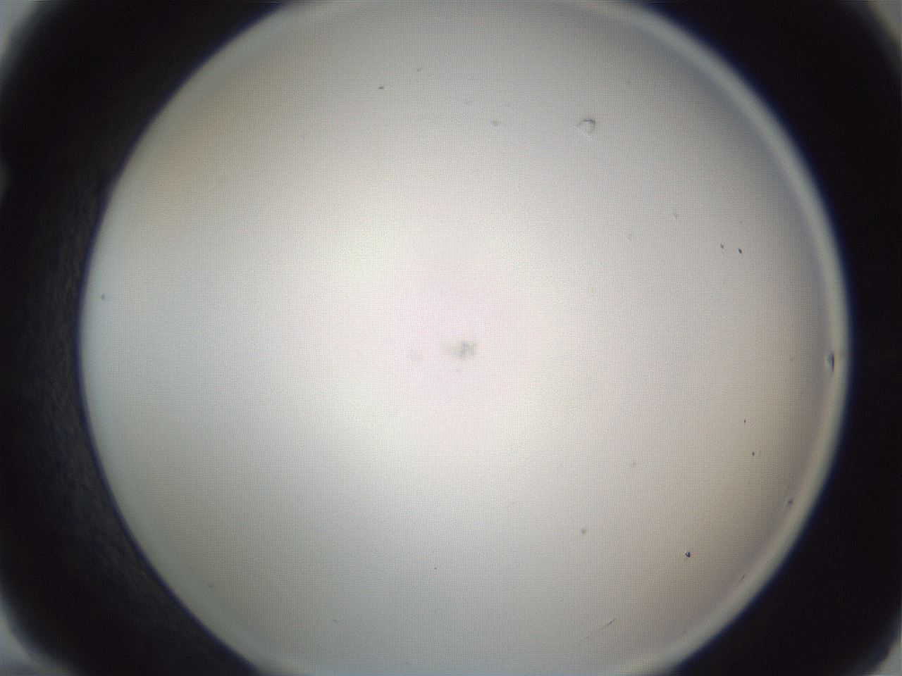 folderID217_plateID1217_batchID3671_wellNum70_profileID1_d1_r68906_ef.jpg
