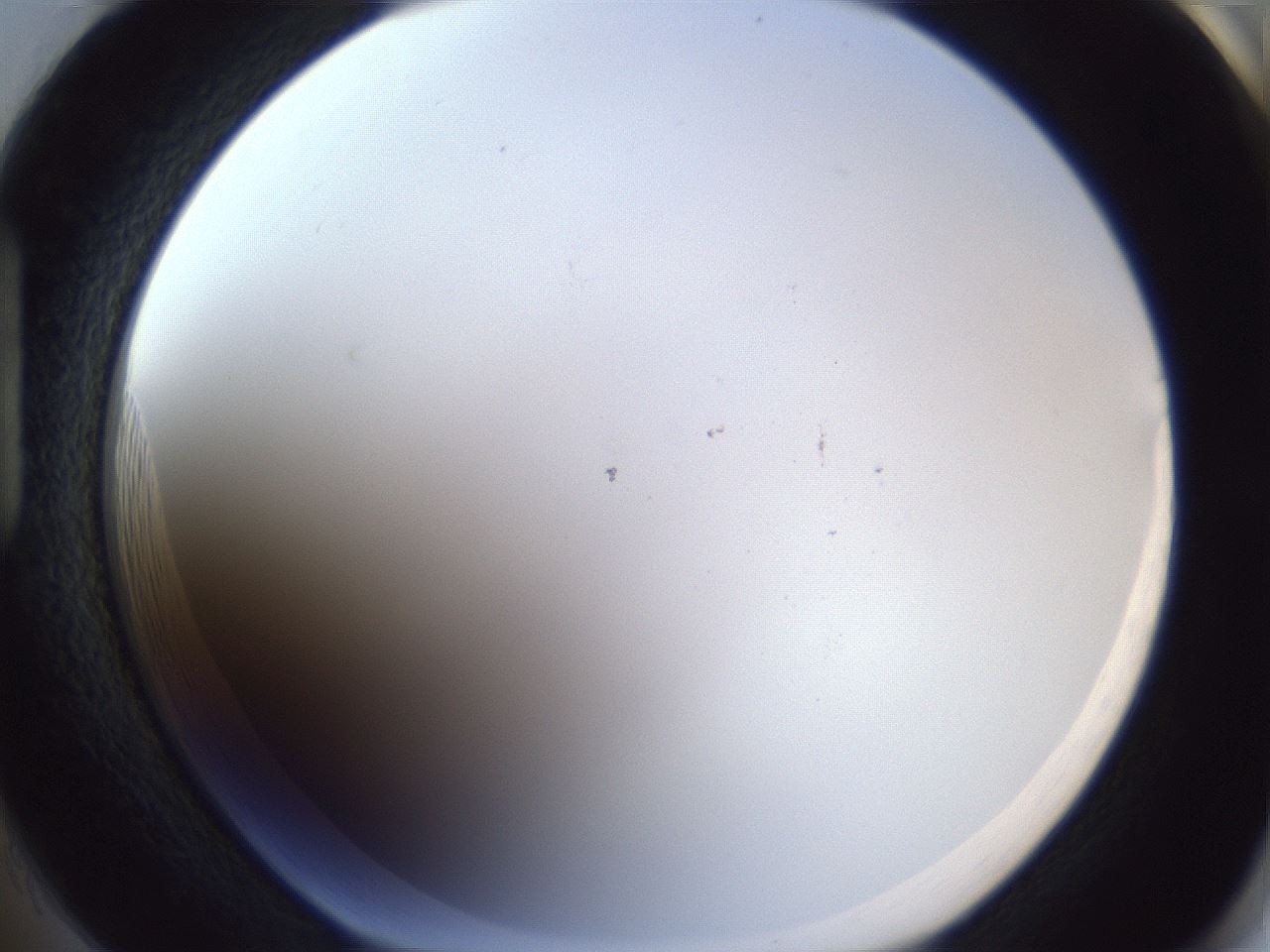 folderID217_plateID1217_batchID3671_wellNum85_profileID1_d1_r68936_ef.jpg