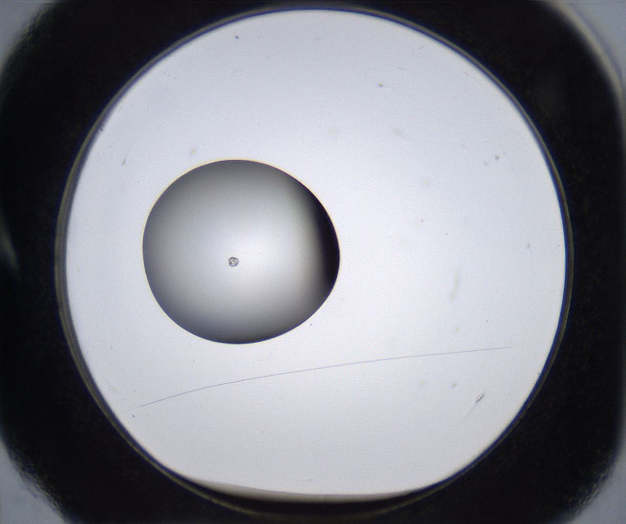 folderID217_plateID2217_batchID10050_wellNum4_profileID1_d1_r150909_ef.jpg