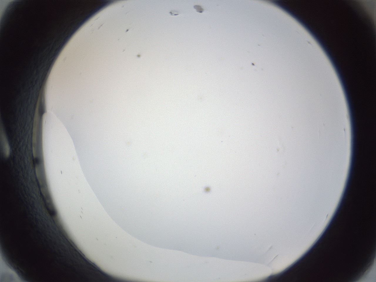 folderID218_plateID1218_batchID3628_wellNum11_profileID1_d1_r69364_ef.jpg