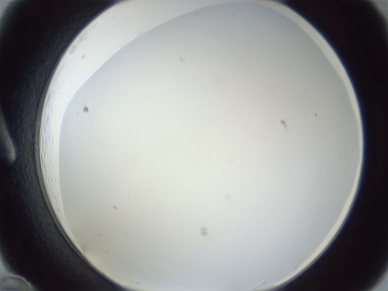 folderID218_plateID1218_batchID3628_wellNum12_profileID1_d1_r69366_ef.jpg