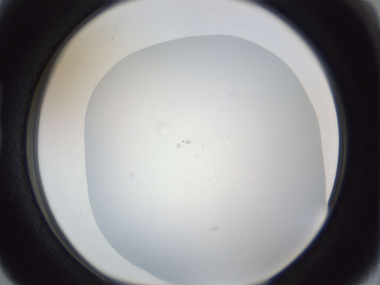 folderID218_plateID1218_batchID3628_wellNum15_profileID1_d1_r69372_ef.jpg