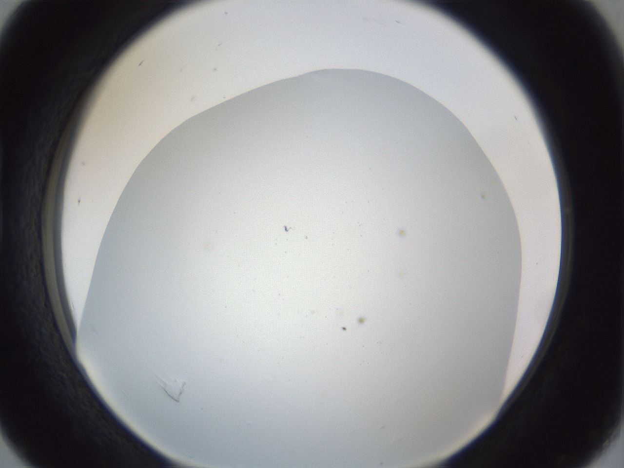 folderID218_plateID1218_batchID3628_wellNum16_profileID1_d1_r69374_ef.jpg