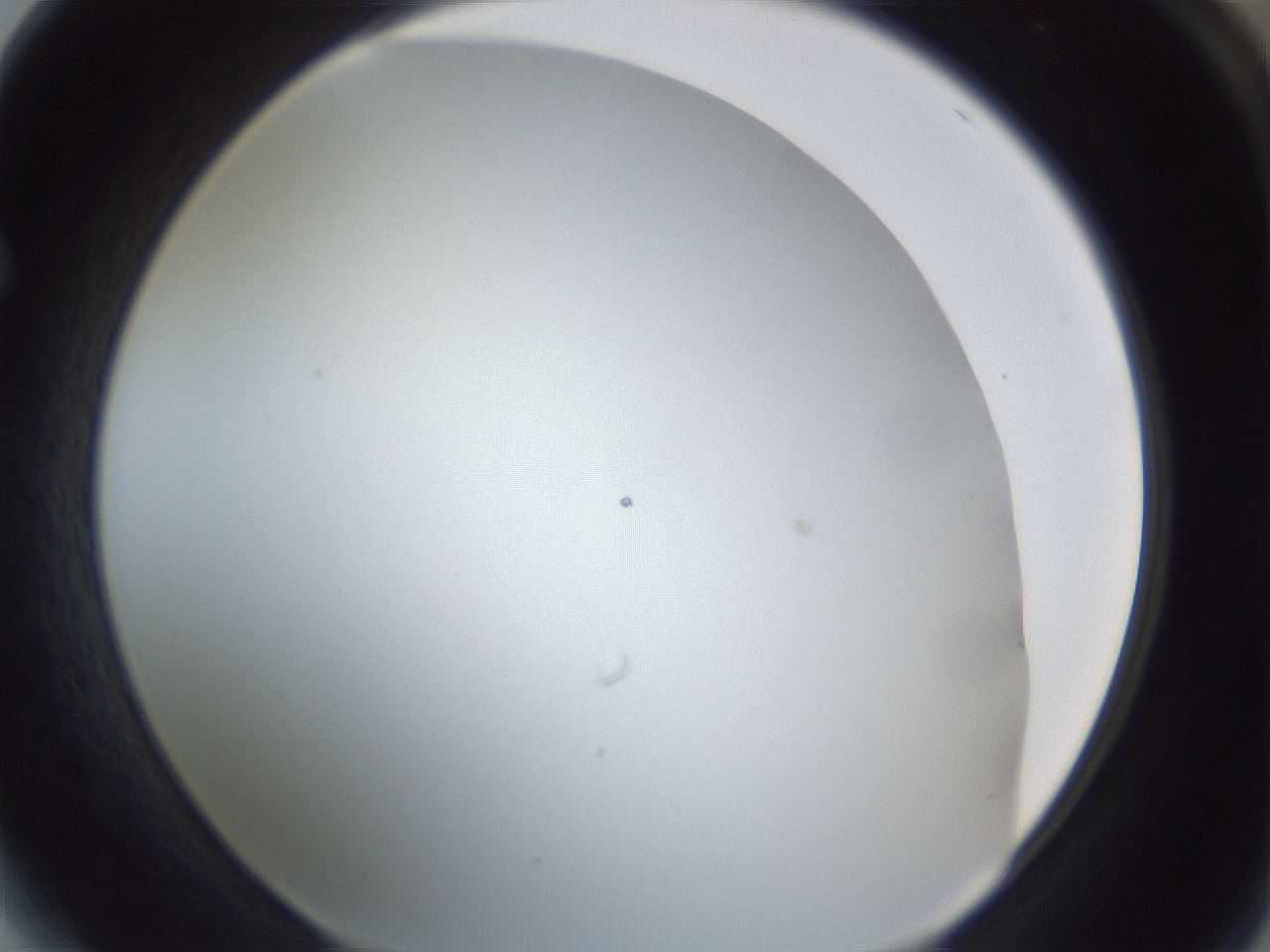 folderID218_plateID1218_batchID3628_wellNum64_profileID1_d1_r69470_ef.jpg