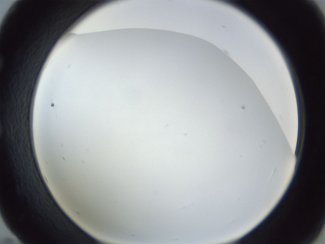 folderID218_plateID1218_batchID3628_wellNum59_profileID1_d1_r69460_ef.jpg