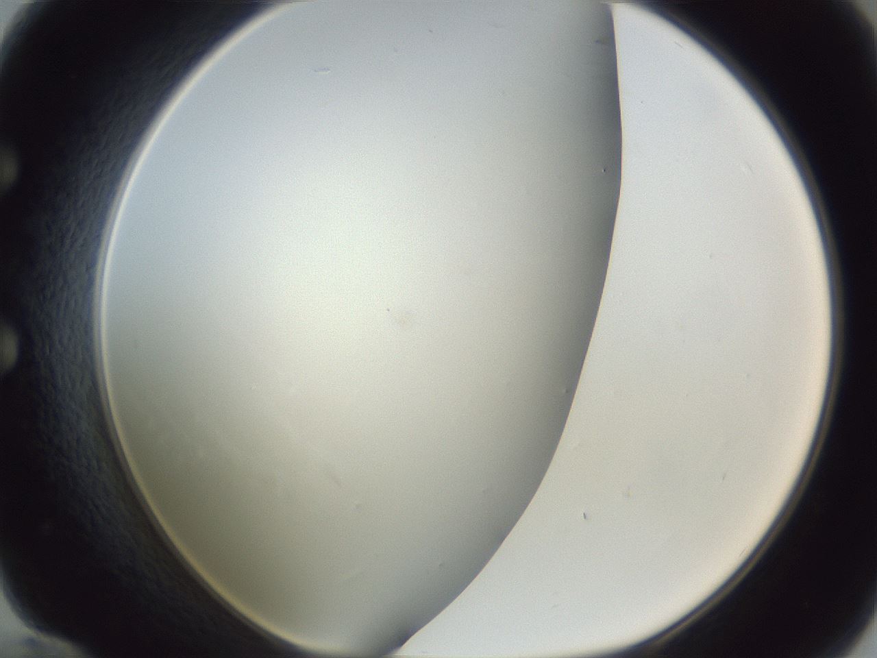 folderID218_plateID1218_batchID3628_wellNum60_profileID1_d1_r69462_ef.jpg